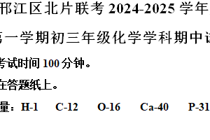 江苏省扬州市邗江区北片区2024-2025学年九年级上学期期中联考化学试卷（含解析）