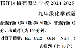 江苏省扬州市邗江区梅苑双语学校2024-2025学年九年级上学期11月期中化学试题（含解析）