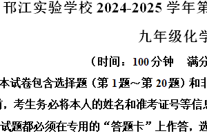 江苏省扬州市邗江区实验学校2024–2025学年九年级上学期化学期中试卷（含解析）