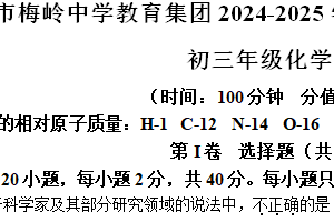 江苏省扬州市梅岭集团2024-2025学年九年级上学期11月期中考试化学试题（含解析）