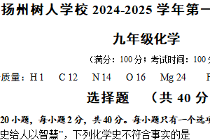 江苏省扬州市树人学校2024–2025学年九年级上学期期中化学试卷（含答案）