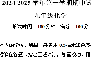 江苏省扬州市仪征市2024-2025学年九年级上学期11月期中考试化学试题（含解析）