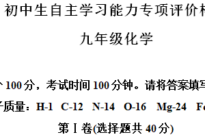 江苏省镇江市丹徒区2024-2025学年九年级上学期11月期中考试化学试题（含解析）