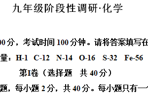 江苏省镇江市丹阳市2024-2025学年九年级上学期11月期中化学试卷（含解析）