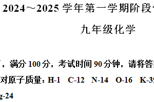 江苏省镇江市润州区2024-2025学年九年级上学期期中考试化学试卷（含解析）