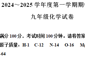 江苏省镇江市市属学校2024-2025学年九年级上学期期中考试化学试卷（含解析）