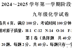 江苏省镇江市扬中市2024-2025学年九年级上学期期中化学试卷（含解析）
