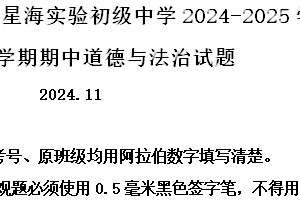 江苏省苏州工业园区星海实验初级中学2024-2025学年九年级上学期期中道德与法治试题（含解析）