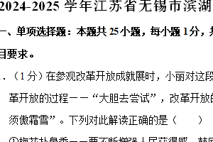 江苏省无锡市滨湖区2024-2025学年九年级上学期11月期中质量监测道德与法治试卷（含解析）