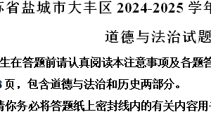 江苏省盐城市大丰区2024-2025学年九年级上学期期中道德与法治试题（含解析）