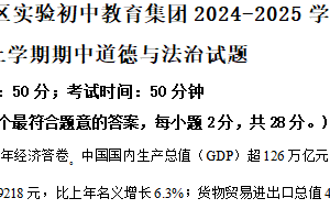 江苏省盐城市大丰区实验初中教育集团2024-2025学年九年级上学期期中模拟道德与法治试题（含解析）