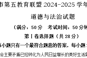 江苏省盐城市东台市第五教育联盟2024-2025学年九年级上学期期中道德与法治试题（含解析）