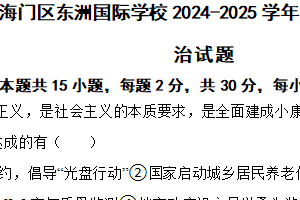 江苏省南通市海门区东洲国际学校2024-2025学年九年级上学期期中道德与法治试题（含解析）