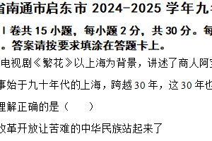 江苏省南通市启东市2024-2025学年九年级上学期期中道德与法治试题（含解析）