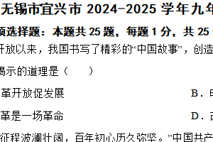 江苏省无锡市宜兴市2024-2025学年九年级上学期期中道德与法治试题（含解析）