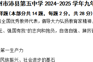 江苏省徐州市沛县第五中学2024-2025学年九年级上学期期中道德与法治试题（含解析）