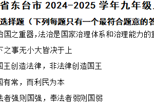 江苏省盐城市东台市2024-2025学年九年级上学期期中道德与法治试题（含解析）