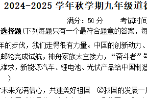 江苏省盐城市盐城经济技术开发区联考 2024-2025学年九年级上学期11月期中道德与法治试题（含答案）