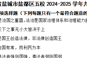 江苏省盐城市盐都区五校2024-2025学年九年级上学期期中道德与法治试题（含解析）