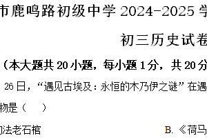 江苏省盐城市鹿鸣路初级中学2024-2025学年九年级上学期期中历史试题（含解析）