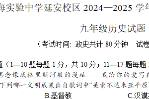 江苏省连云港市新海实验中学延安校区2024-2025学年九年级上学期期中学业质量检测历史试题（含答案）