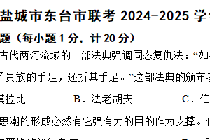 江苏省盐城市东台市联考2024-2025学年九年级上学期期中历史试题（含答案）
