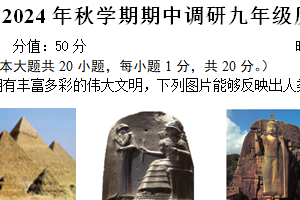 江苏省盐城市阜宁县联考2024-2025学年九年级上学期11月期中历史试题（含答案）
