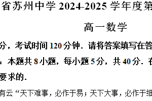 江苏省苏州中学2024-2025学年高一上学期期中考试数学试题（含解析）