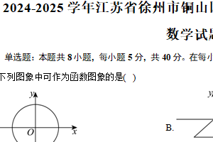2024-2025学年江苏省徐州市铜山区高一上学期11月期中考试数学试题（含答案）