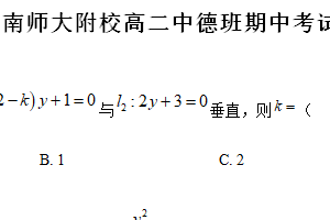 江苏省南京师范大学附属实验学校2024-2025学年高二上学期中德班期中考试数学试卷（含解析）