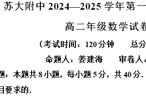 江苏省苏州市苏大附中2024-2025学年高二上学期期中数学试题（含解析）