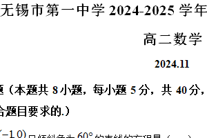 江苏省无锡市第一中学2024-2025学年高二上学期11月期中考试数学试题（含解析）