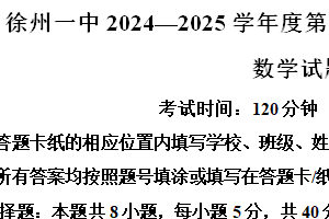 江苏省徐州市第一中学2024-2025学年高二上学期11月期中检测数学试题（含解析）