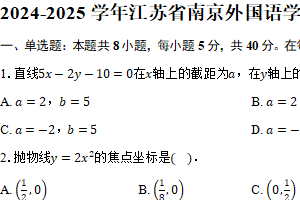 2024-2025学年江苏省南京外国语学校高二上学期期中考试数学试卷（含答案）