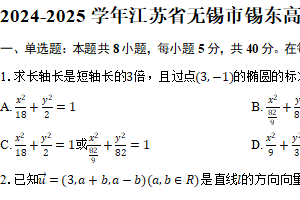 2024-2025学年江苏省无锡市锡东高级中学高二（上）期中数学试卷（含答案）