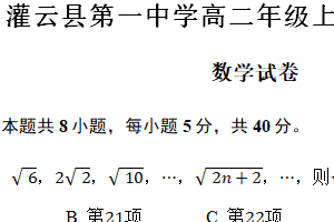 江苏省连云港市灌云县第一中学2024-2025学年高二上学期11月期中考试数学试题（含答案）