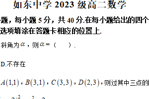江苏省南通市如东高级中学2024-2025学年高二上学期期中考试数学试卷（含答案）