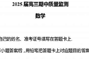 江苏省南通市通州高级中学、泗洪中学2024~2025学年高三上学期期中联考数学试卷（含解析）