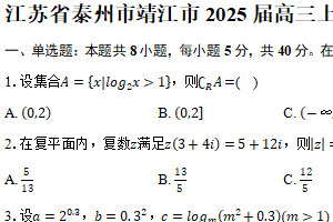 江苏省泰州市靖江市2025届高三上学期11月期中调研测试数学试题（含答案）