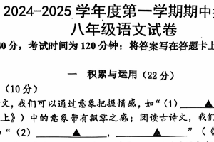 江苏省徐州市邳州市2024-2025学年八年级上学期期中语文试卷（含答案）