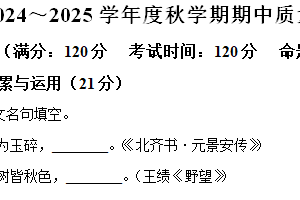 江苏省盐城市东台市第五教育联盟2024-2025学年八年级上学期期中语文试题（含解析）
