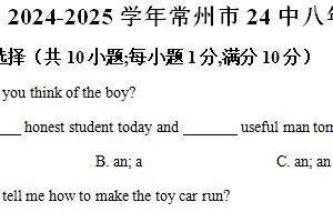 江苏省常州市第二十四中学2024-2025学年八年级上学期英语期中试题（含解析）