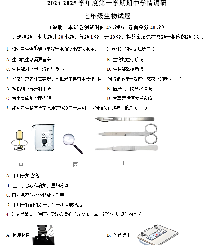 江苏省徐州市丰县2024-2025学年七年级上学期期中生物试题(含解析)