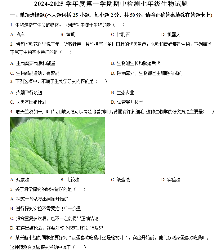 江苏省徐州市沛县2024-2025学年七年级上学期期中生物学试题(含解析)