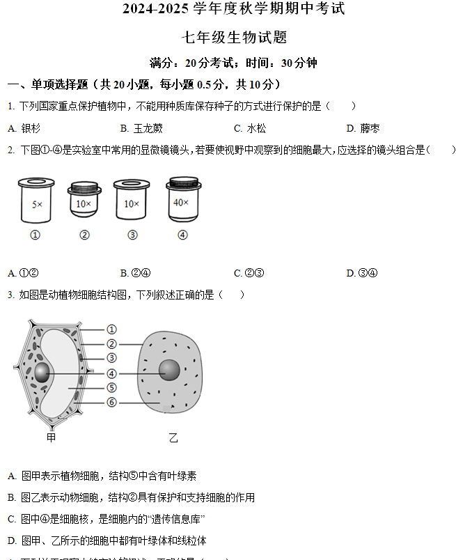 江苏省盐城市东台市第五教育联盟2024-2025学年七年级上学期期中生物试题(含解析)