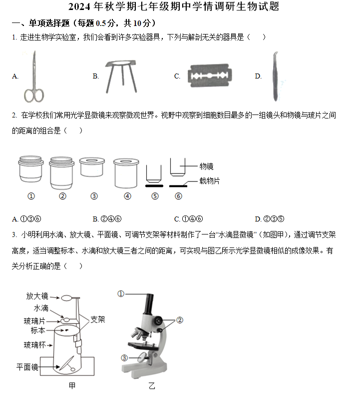 江苏省盐城市阜宁县2024-2025学年七年级上学期期中生物试题(含解析)