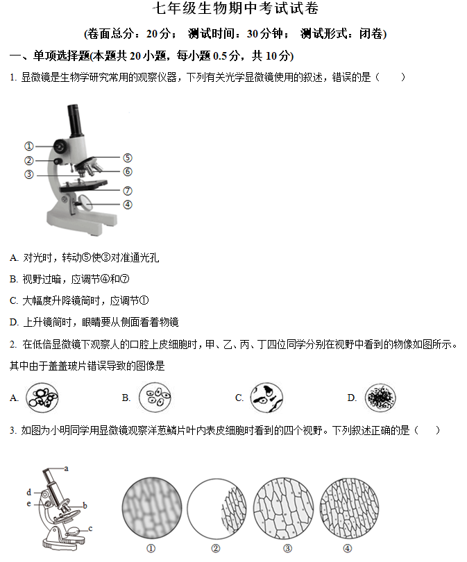江苏省盐城市建湖县2024-2025学年七年级上学期期中生物试题(含解析)