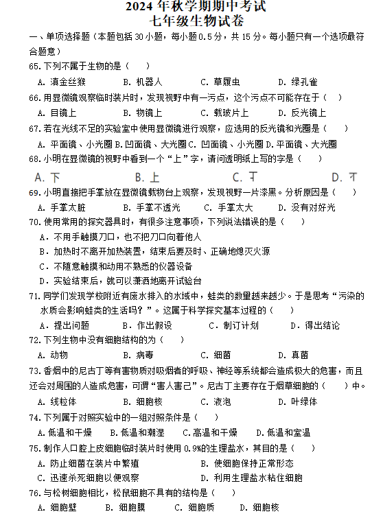 江苏省盐城市射阳县实验初级中学2024-2025学年七年级上学期期中考试生物学试题(含答案)