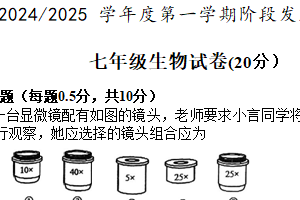 江苏省盐城市盐都区第一共同体2024-2025学年七年级上学期11月期中考试生物学试卷（含答案）