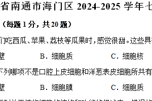 江苏省南通市海门区2024-2025学年七年级上学期期中考试生物试卷（含解析）